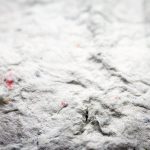 壁紙發霉怎麼辦？除霉與防霉技巧大解析